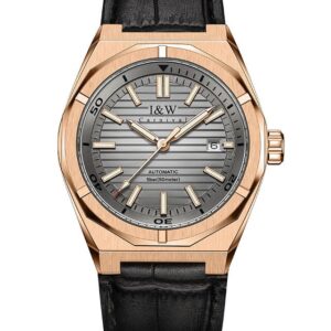 Đồng hồ nam chính hãng IW CARNIVAL IW711G-17