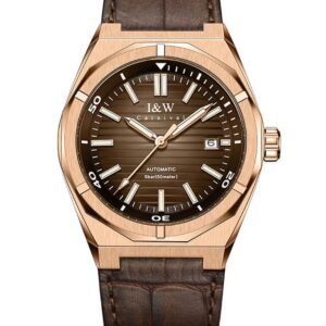 Đồng hồ nam chính hãng IW CARNIVAL IW711G-15