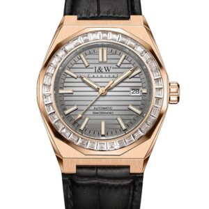 Đồng hồ nam chính hãng IW CARNIVAL IW733G-17