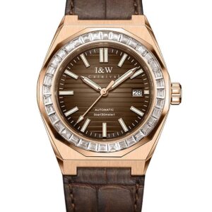 Đồng hồ nam chính hãng IW CARNIVAL IW733G-15