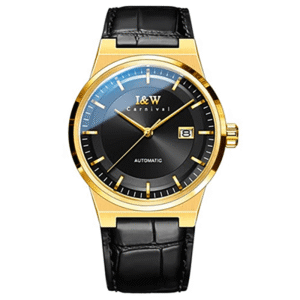 Đồng hồ nam chính hãng IW CARNIVAL IW612G-9