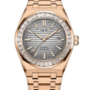 Đồng hồ nam chính hãng IW CARNIVAL IW733G-13