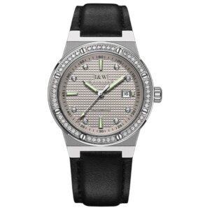 Đồng hồ nam chính hãng IW CARNIVAL IW610G-3