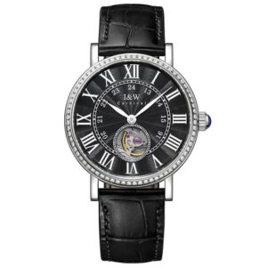 Đồng hồ nam chính hãng IW CARNIVAL IW667G-2 (Máy siêu mỏng)