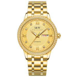 Đồng hồ nam chính hãng IW CARNIVAL IW615G-1