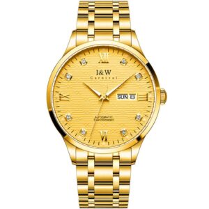 Đồng hồ nam chính hãng IW CARNIVAL IW651G-2