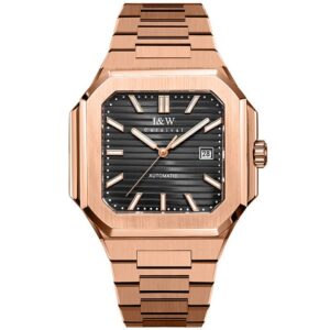 Đồng hồ nam chính hãng IW CARNIVAL Cubitus IW55875G-10