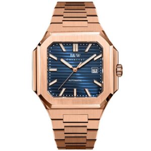 Đồng hồ nam chính hãng IW CARNIVAL Cubitus IW55875G-9