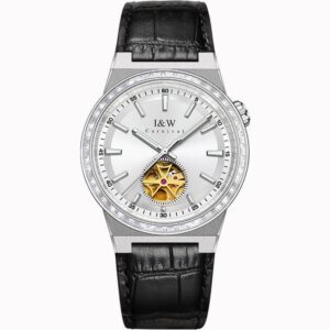 Đồng hồ nam chính hãng IW CARNIVAL IW761G-8