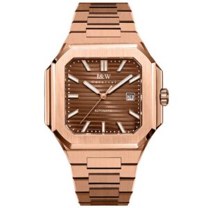 Đồng hồ nam chính hãng IW CARNIVAL Cubitus IW55875G-7